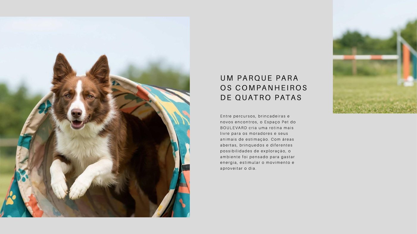 Espaço pet com parque para cães