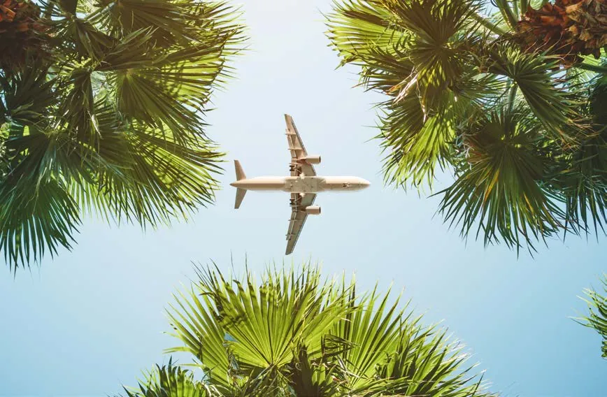 Avião sobrevoando palmeiras em um céu azul