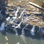 Cachoeira Tijuí