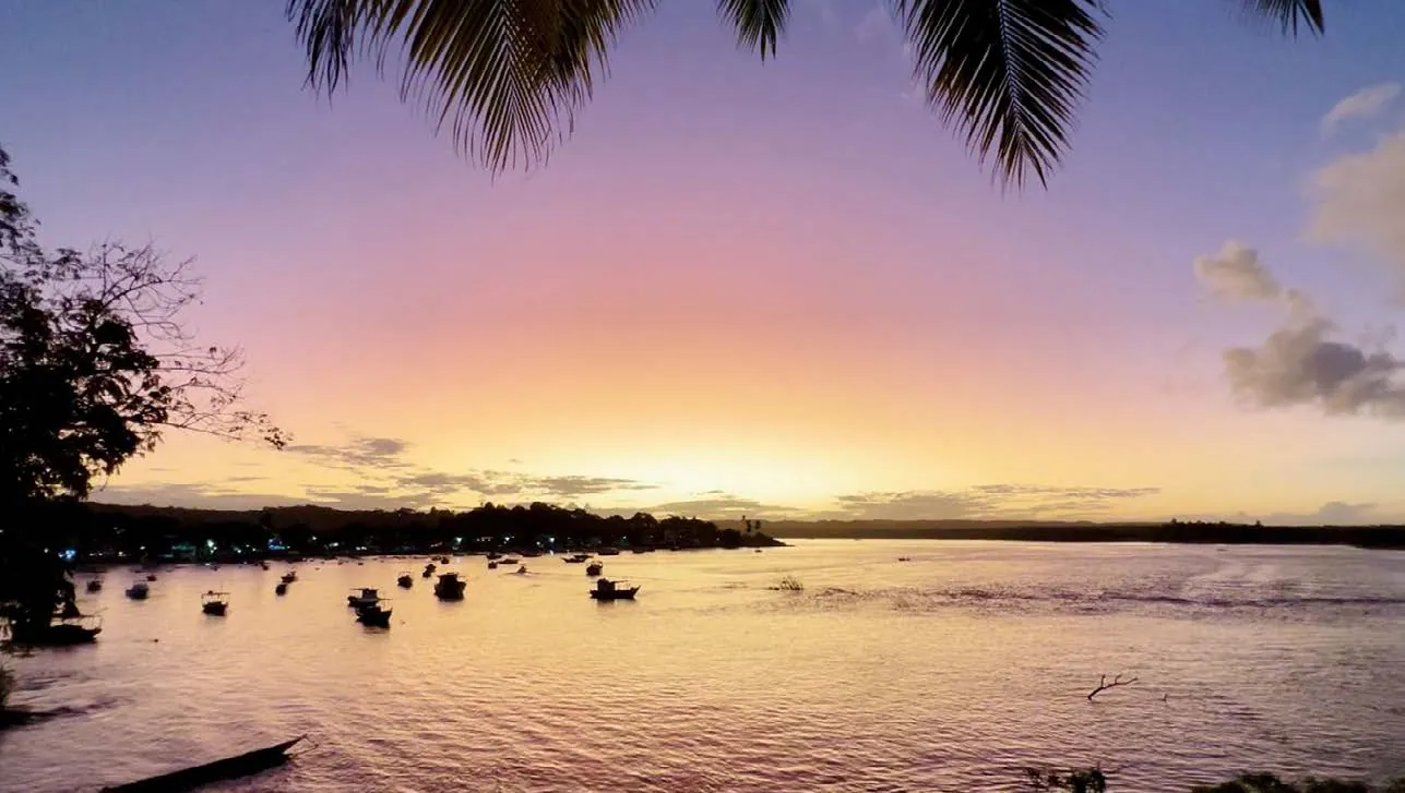 Pôr do sol em tons de rosa e laranja sobre a baía, com barcos ancorados e folhas de coqueiro em primeiro plano